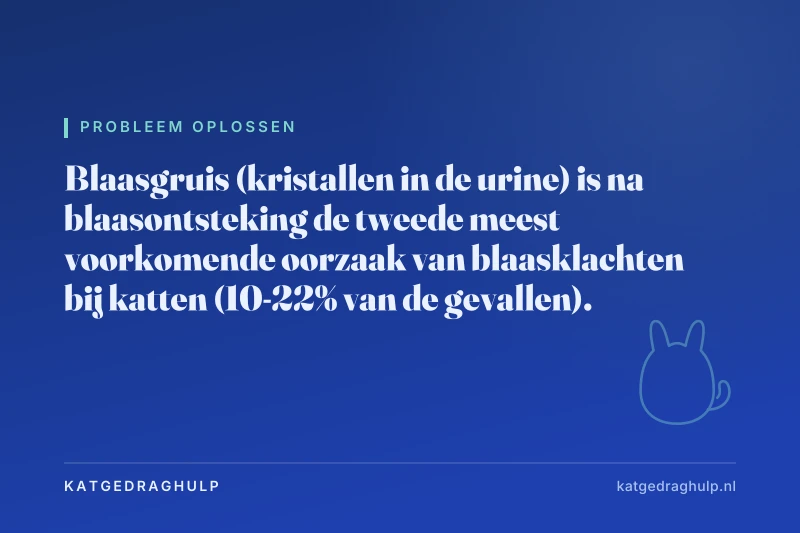 Tekstkaart van KatGedragHulp: Blaasgruis bij je kat: wat het betekent voor kattenbakgedrag