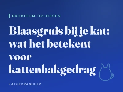 Blaasgruis bij je kat: wat het betekent voor kattenbakgedrag