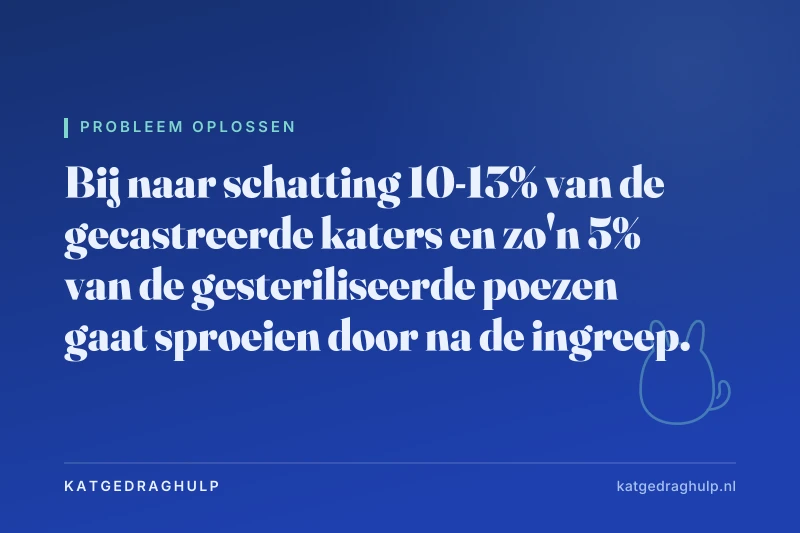 Tekstkaart van KatGedragHulp: Gecastreerde kat sproeit nog steeds: oorzaken en wat je kunt doen