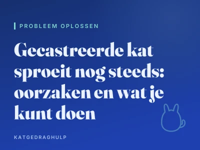Gecastreerde kat sproeit nog steeds: oorzaken en wat je kunt doen