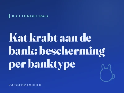 Kat krabt aan de bank: bescherming per banktype