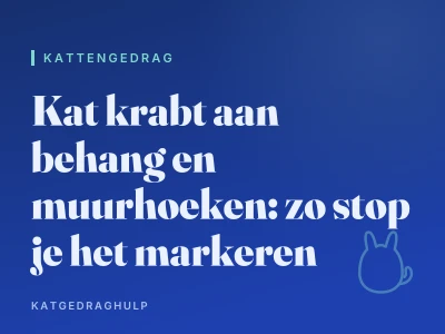 Kat krabt aan behang en muurhoeken: zo stop je het markeren