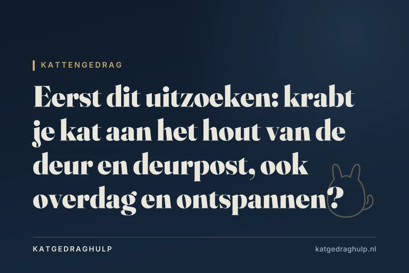 Tekstkaart van KatGedragHulp: Kat krabt aan de deur: territorium of toegang vragen?