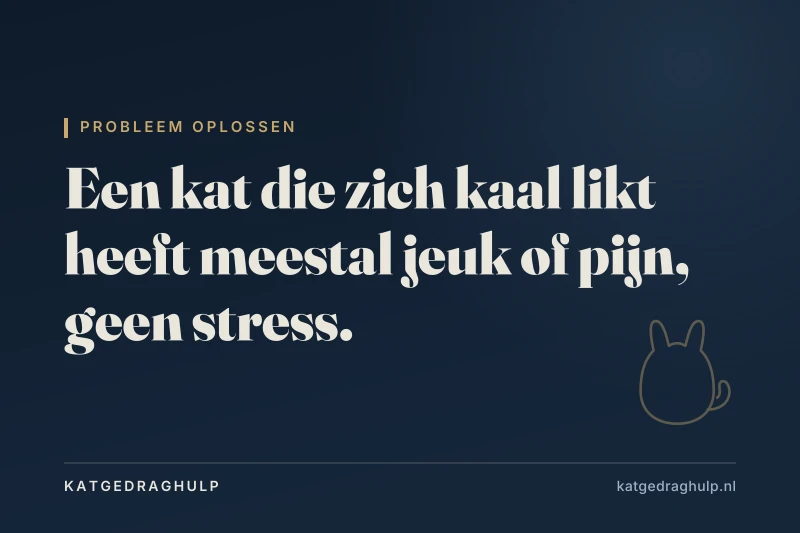 Tekstkaart van KatGedragHulp: Kat likt zich kaal: oorzaken en wat je eraan doet