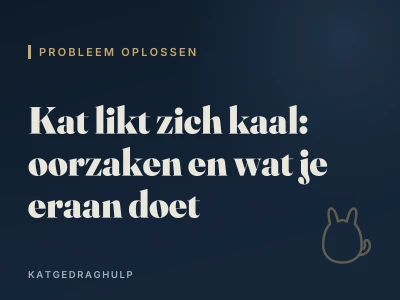 Kat likt zich kaal: oorzaken en wat je eraan doet