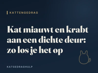 Kat miauwt en krabt aan een dichte deur: zo los je het op