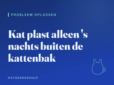 Kat plast alleen 's nachts buiten de kattenbak