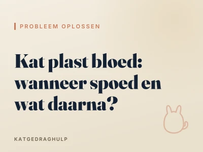 Kat plast bloed: wanneer spoed en wat daarna?