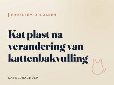 Kat plast na verandering van kattenbakvulling