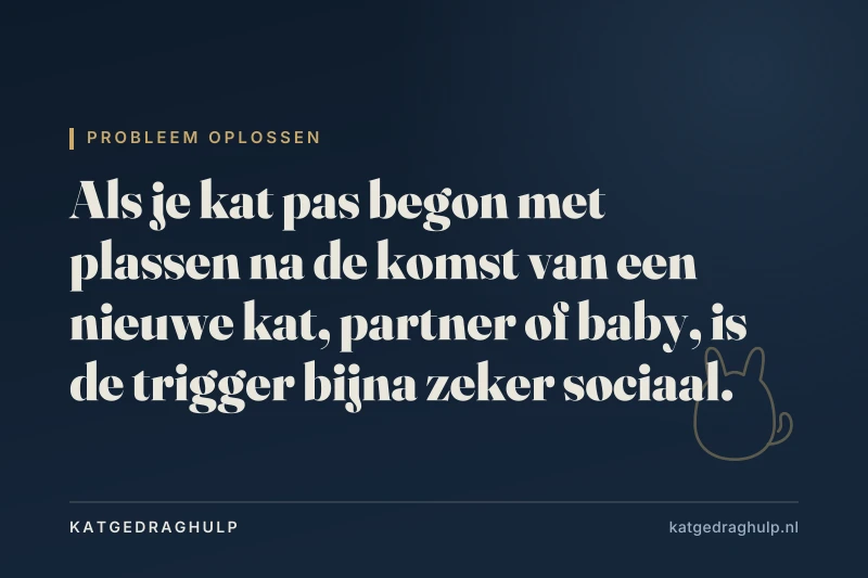 Tekstkaart van KatGedragHulp: Kat plast in huis sinds nieuwe kat, partner of baby