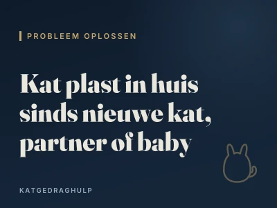 Kat plast in huis sinds nieuwe kat, partner of baby