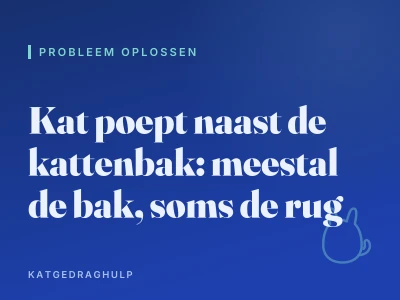 Kat poept naast de kattenbak: meestal de bak, soms de rug