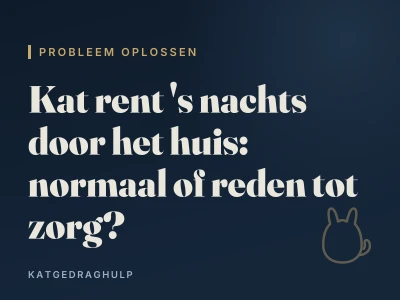 Kat rent 's nachts door het huis: normaal of reden tot zorg?