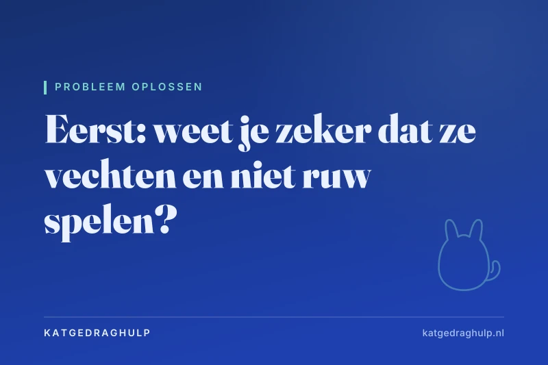 Tekstkaart van KatGedragHulp: Katten die vechten in huis: stap voor stap oplossen
