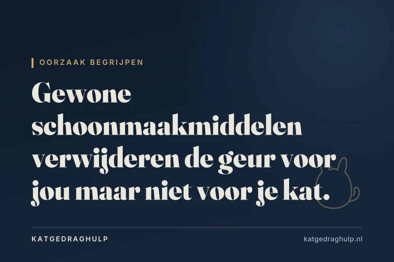 Tekstkaart van KatGedragHulp: Kattenurine-geur volledig verwijderen: stappenplan per oppervlak