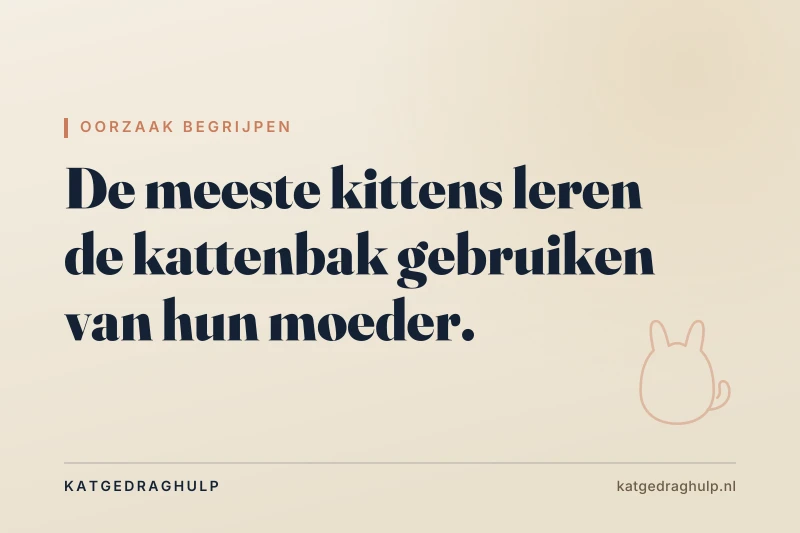 Tekstkaart van KatGedragHulp: Kitten wennen aan de kattenbak: zo doe je het goed