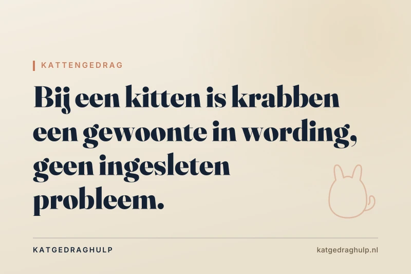Tekstkaart van KatGedragHulp: Kitten krabt alles: de gewoonte goed vestigen voor de bank het wint