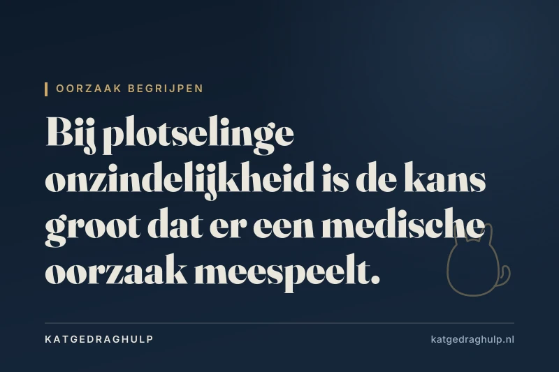 Tekstkaart van KatGedragHulp: Medische oorzaken als je kat in huis plast