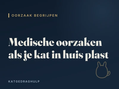 Medische oorzaken als je kat in huis plast