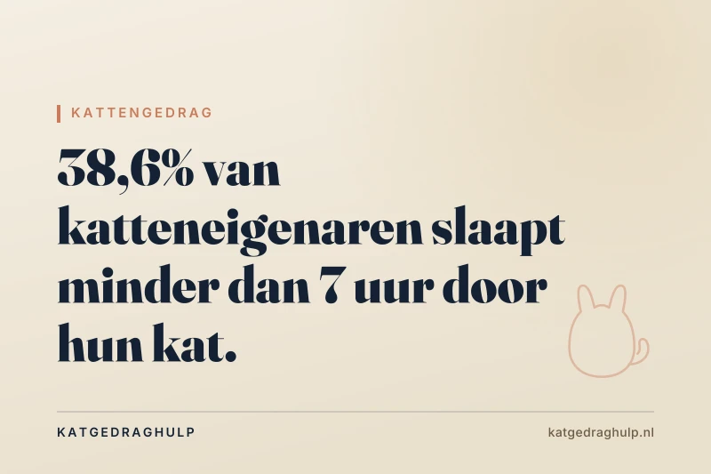 Tekstkaart van KatGedragHulp: Nachtrust met je kat: praktische aanpak