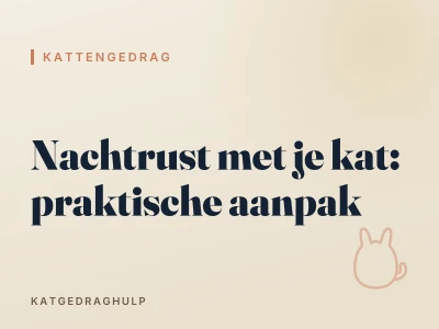 Nachtrust met je kat: praktische aanpak