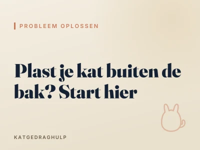 Plast je kat buiten de bak? Start hier