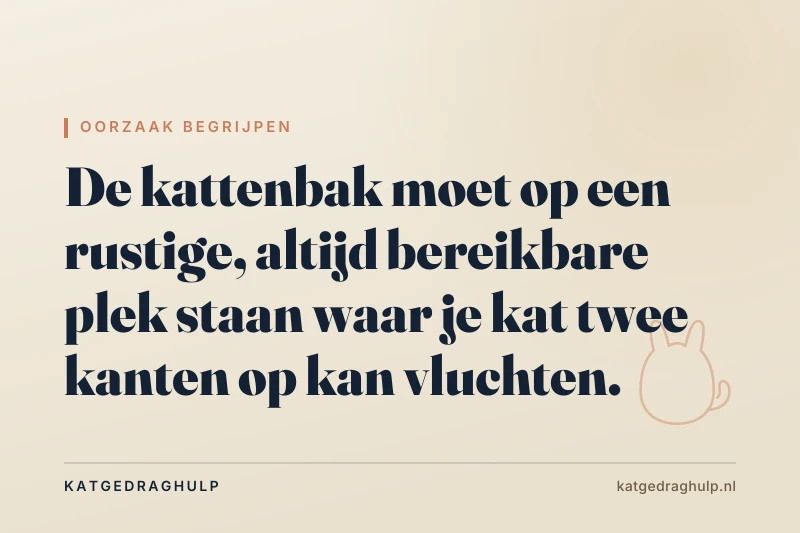 Tekstkaart van KatGedragHulp: Waar moet de kattenbak staan? Plaatsing die werkt